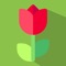 Growy is a simple app that it helps you to manage your smart garden, greenhouse or garden