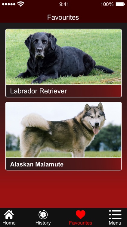 Identify Dog Breeds screenshot-3