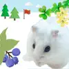Hamster Walks *cute hamster delete, cancel