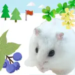 Hamster Walks *cute hamster App Contact