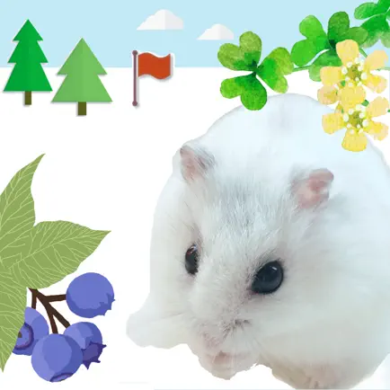 Hamster Walks  *cute hamster Cheats