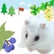 Icon Hamster Walks  *cute hamster