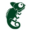 Cool Chameleon icon