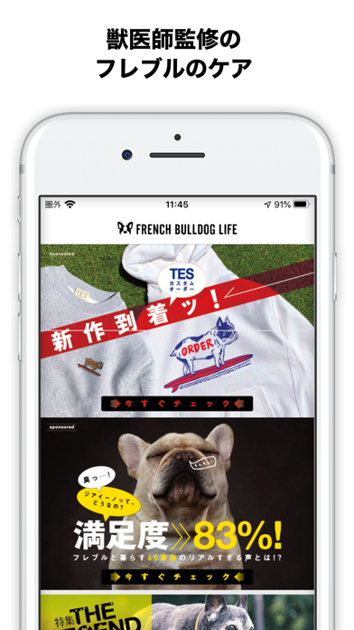 French Bulldog Life Screenshot