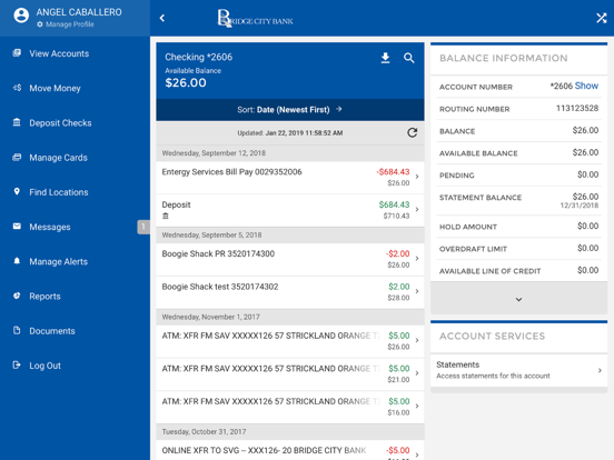 Bridge City State Bank iPad screenshot 3 - Finance app