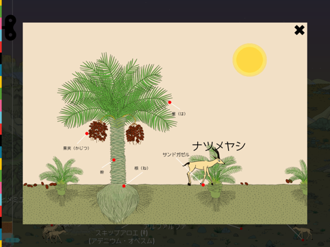 植物 ~ あそんでまなぼうのおすすめ画像5