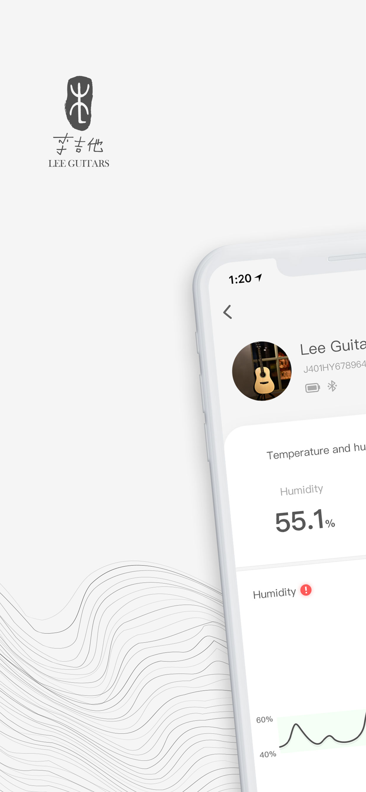Lee Guitars
