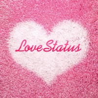 Love Status Spotify Collection