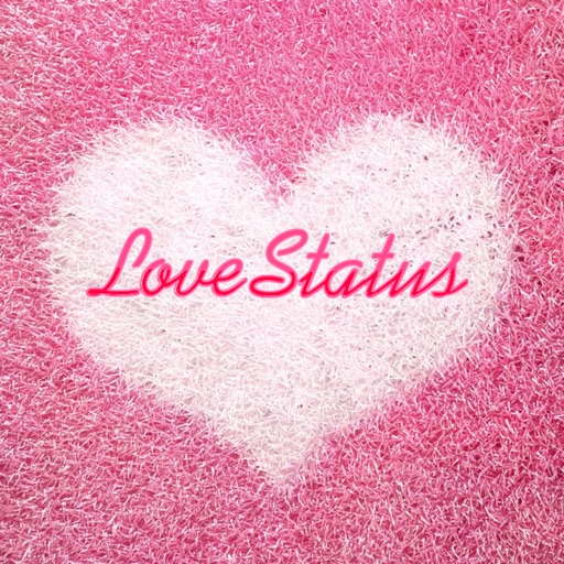 Love Status Spotify Collection Icon