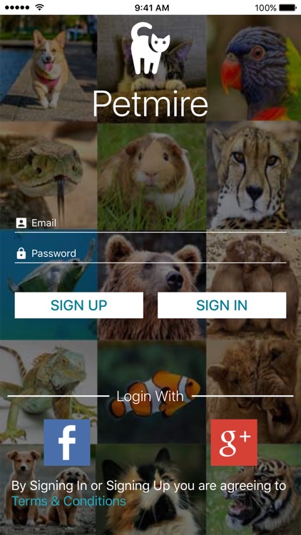 Petmire - Pet Community