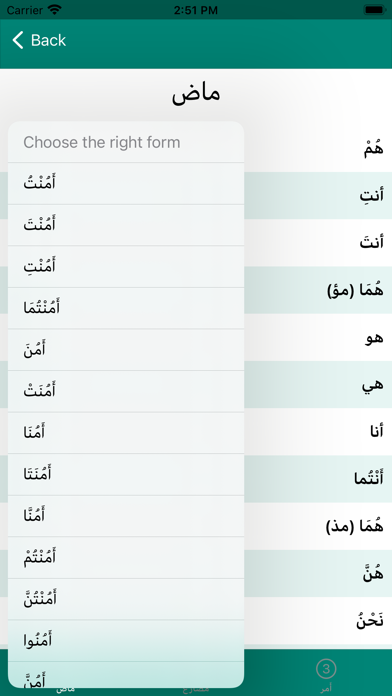 Arabugator, Arabic conjugation Screenshot
