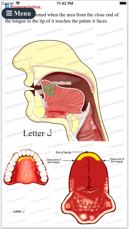 Arabic Alphabet Eng Pro screenshot-6