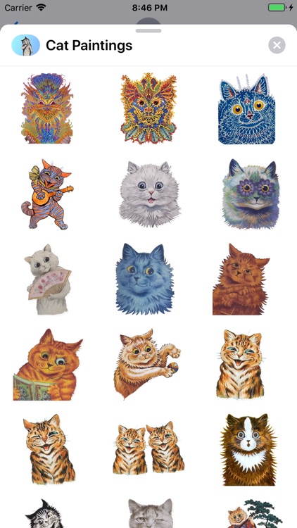 Cat Paintings - Cat Drawings