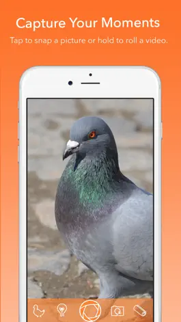 Game screenshot Parlé hack