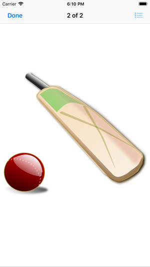 Let's Play Cricket!(圖3)-速報App