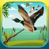 Duck Hunting 3D: Fowl Hunting icon