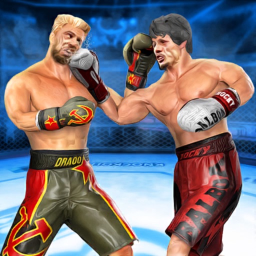 Real Punch Boxing Revolution iOS App