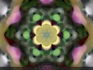 Astral Blossom ipad bilder 1