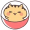 きゃらきゃらマキアート公式