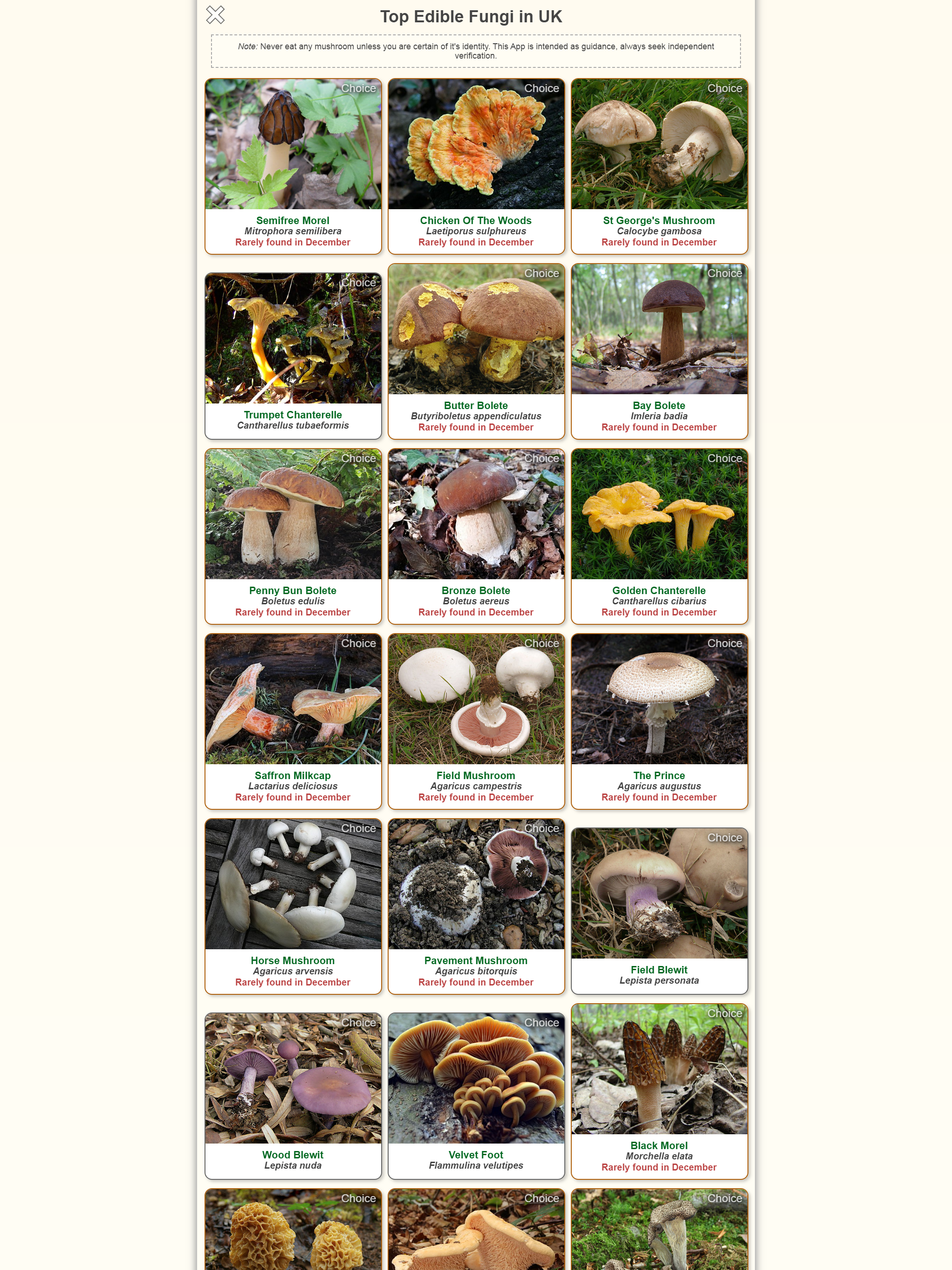 Shroomify - Mushroom ID USA