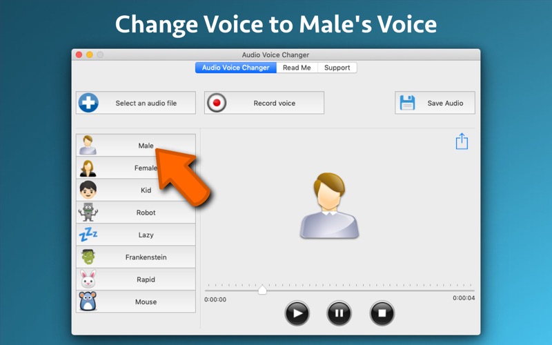 Screenshot #3 pour Audio Voice Changer
