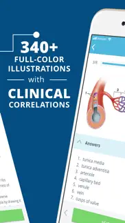 usmle clinical anatomy quiz problems & solutions and troubleshooting guide - 2
