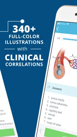 Game screenshot USMLE Clinical Anatomy Quiz apk