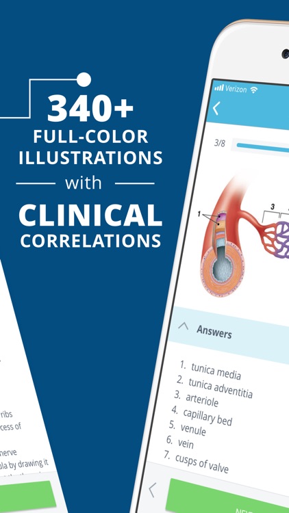 USMLE Clinical Anatomy Quiz