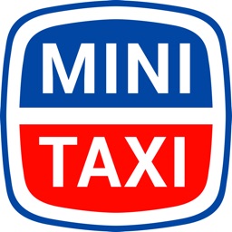 Mini Taxi Passenger
