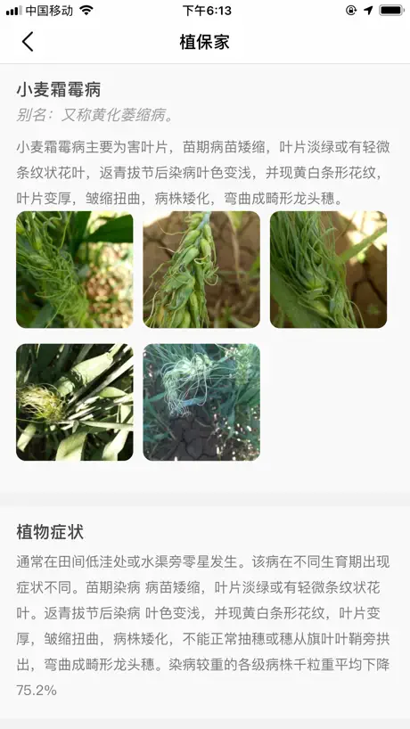 植保家