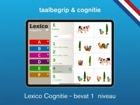 Lexico Cognitie