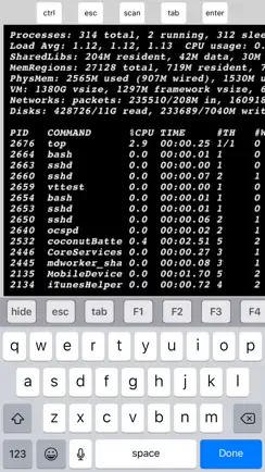 Mocha Telnet iPhone image 2