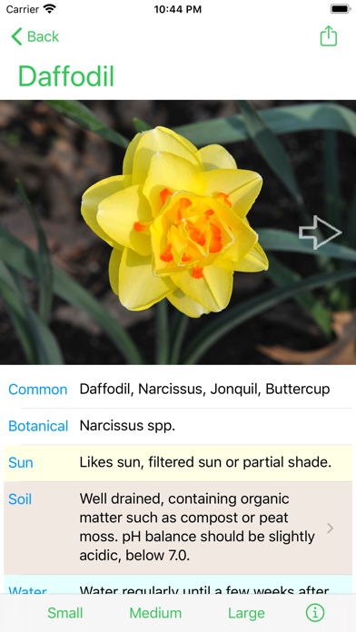 Flower Ref Screenshot
