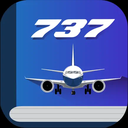 Boeing 737 Question's Guide Читы