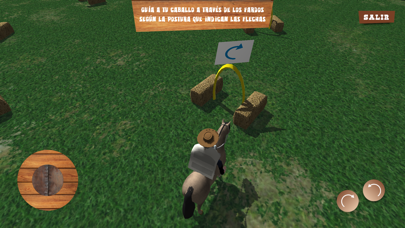 Screenshot #1 pour Rodeo Chileno
