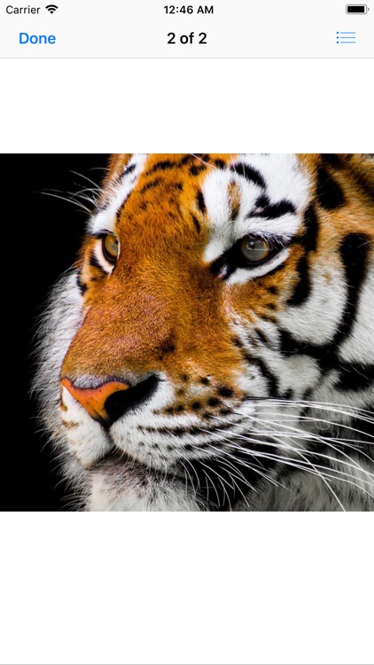 Real Tiger Stickers screenshot-3