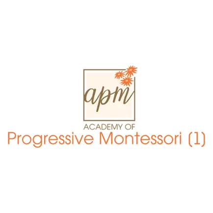 APM Montessori Читы