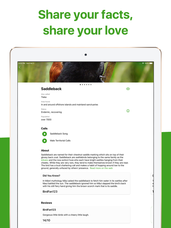 Bird Nerd NZ iPad screenshot 6 - Reference app