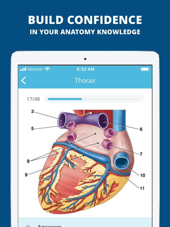 USMLE Clinical Anatomy Quizのおすすめ画像4