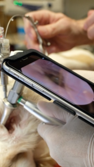 vetOvation - VideoScope Screenshot