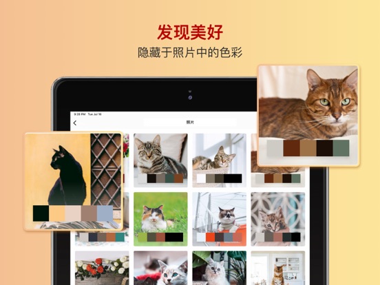 色采 - 配色助手 色卡工坊 iPad screenshot 3