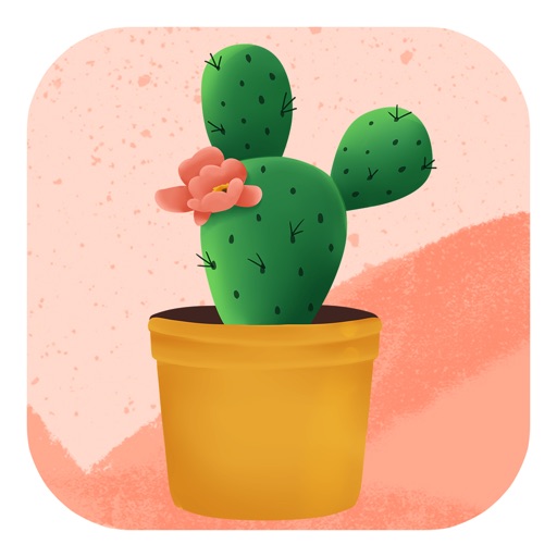 Desert cactus puzzle