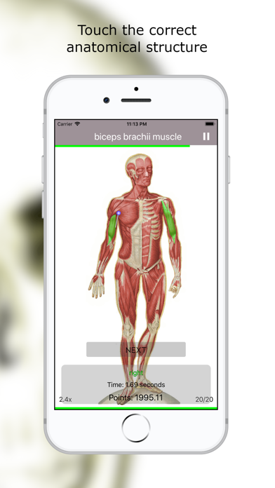 Screenshot #2 pour Anatomy Quiz lite