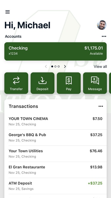 First National Bank of Dryden Screenshot