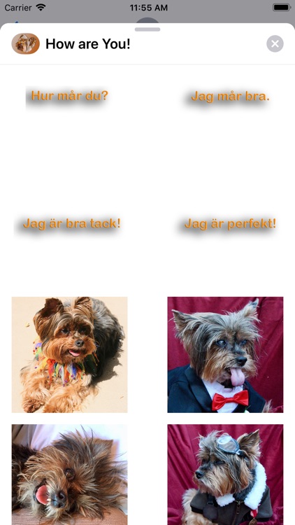 How Are You-? screenshot-9