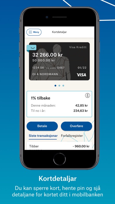 Mobilbank SSF Screenshot