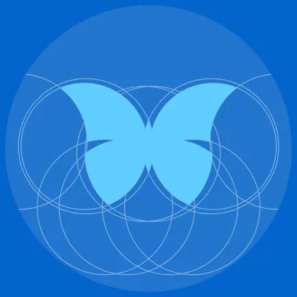 Beauty of Circle Читы