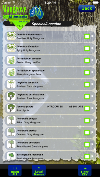 Screenshot #2 pour Mangrove AU