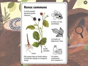 Capture d'écran