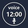 Voice wake alarm icon